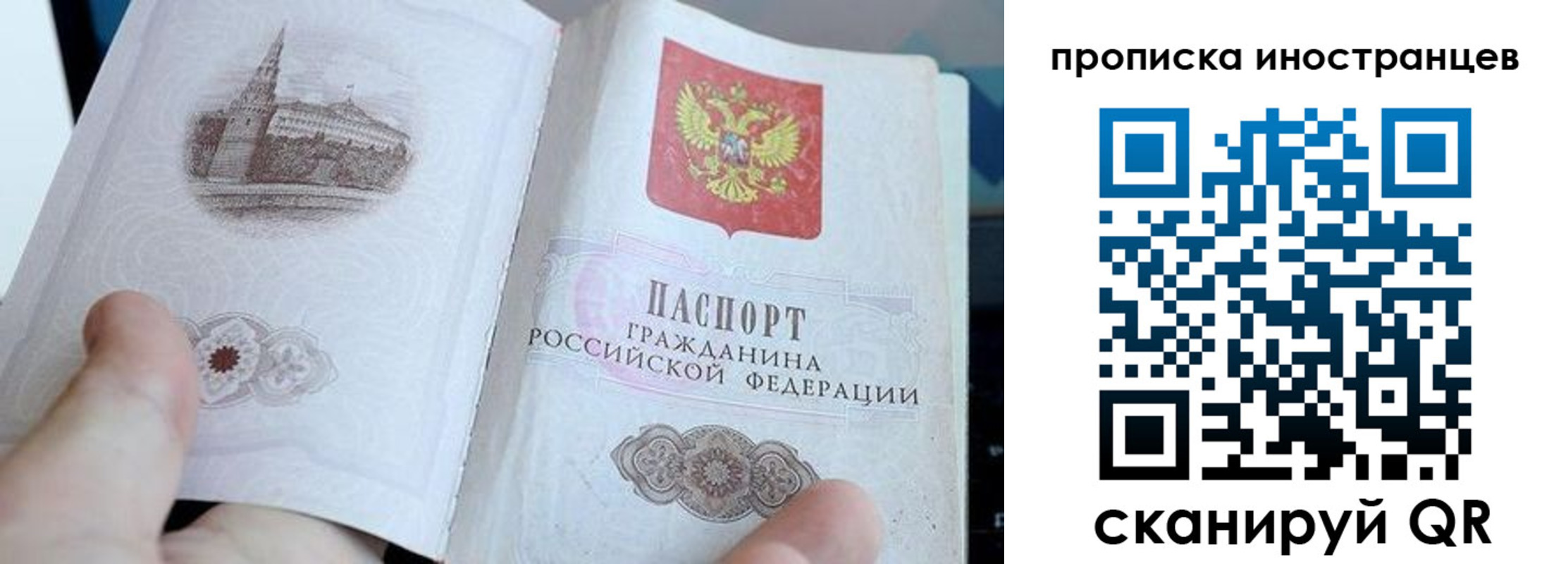 прописка поиск в Гаврилов-Яме
